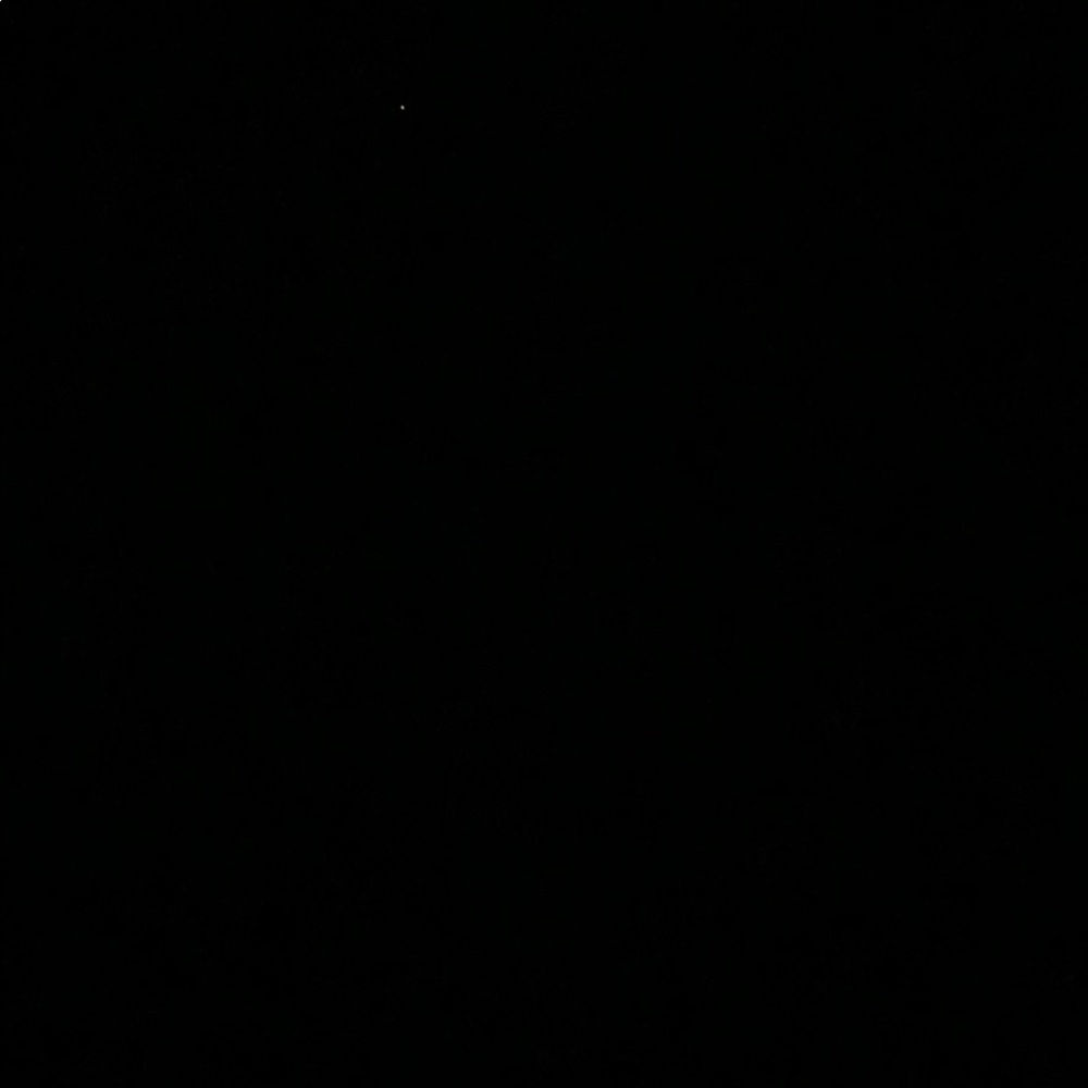 Meet your Posher, Symone